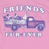 Bioworld Friends Fur-Ever Crew Neck Short Sleeve Pink Heather Women's Night Shirt